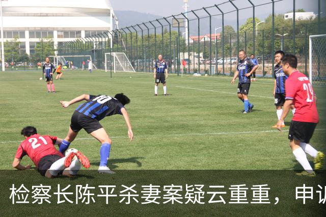检察长陈平杀妻案疑云重重，申诉无果被枪决，保密行刑后迅速火化